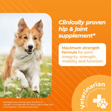 VetriScience Glycoflex 3 Clinically Proven Hip and Joint Supplement for Dogs - Maximum Strength Dog Supplement with Glucosamine, MSM, Green Lipped Mussel & DMG - 120 Chews, Chicken Flavor