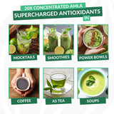 Amla Powder & Decaf Green Tea Superfood Supplement, 20x Ultra Concentrated Amla, Oolong Tea and Indian Gooseberries, Organic, Vegan, 90 Servings