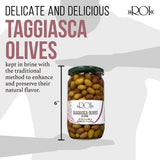 ROI Italian Taggiasca Olives in Brine - Whole Olives with Pits - Product of Italy 17.6oz / 500g