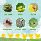 Foofol 18PCS Fruit Fly Sticky Traps Fungus Gnat Traps Insect Trap for Plants Kitchen Indoor Outdoor White Flies Mosquitos Fungus Gnats Flying Insects Houseplant Gift.