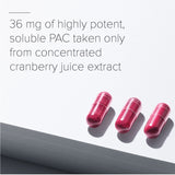 ellura 36mg PAC: Get Ahead of UTIs with clinically-Proven, 100% bioavailable PAC, 90 Capsules