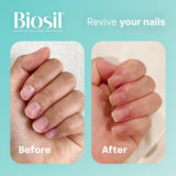 Biosil Collagen Generator - 60 Capsules, Pack of 2 - with Patented ch-OSA Complex - Generates & Protects Your Own Collagen - GMO Free - 120 Total Servings