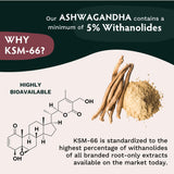 Ashwagandha KSM-66 Gummies for Adults - Pure Organic Root Extract Ayurvedic Supplement Gummy for Men & Women, Focus Mood Support Increase Energy Strength 600mg of Natural KSM66 for Superior Absorption