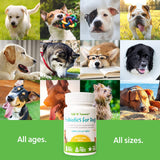 Probiotics for Dogs by Tails 'N' Tummies