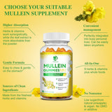 (2 Pack) 9 in 1 Mullein Gummies for Lung Cleanse, Extra Strength 10000 MG(10:1 Extract) Mullein Leaf Extract w/Quercetin, Bromelain, Elderberry & Marshmallow for Respiratory, Immune, Vegan,120 Count