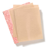 DHC Blotting Paper 100 Count (Pack of 3)