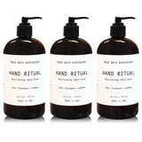 Muse Apothecary Hand Ritual - Aromatic and Nourishing Hand Soap, Infused with Natural Aromatherapy Essential Oils - 16 oz, Aloe + Eucalyptus + Lavender, 3 Pack