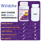 300 Billion AFU Akkermansia Probiotic | GLP-1 Probiotic for Women & Men, Akkermansia Muciniphila for GLP-1, Digestive, Gut, Immune, Enhances Gut Digestive Lining function, Akka Superbiotics - 120 Caps