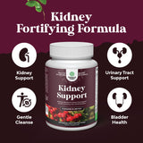 Kidney Support Cranberry Supplement for Women and Men - High Strength Kidney Cleanse Detox & Repair Formula with Stinging Nettle and Astragalus for Kidney and Bladder Health - Non-GMO Halal and Vegan