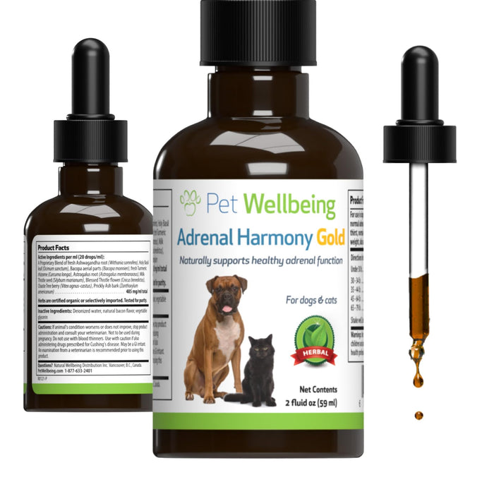 Pet Wellbeing Adrenal Harmony Gold - Vet-Formulated - for Dog Cushing's, Adrenal Health, Cortisol Balance - Natural Herbal Supplement