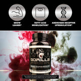 Gorilla Mode AR Carnitine 750mg Capsules – Androgen Receptor Upregulator/Boosts Cellular Energy, Upregulates Androgen Receptor Density/Shuttles Fatty Acids (120 Capsules)