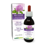 Naturalma Red clover (Trifolium pratense) herb with flowers Alcohol-free Tincture - 4 fl oz Liquid extract in drops - Herbal supplement - Vegan