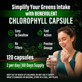 Benevolent Chlorophyll Capsules 700mg - 100% Natural + Ultra Chlorophyll 20x Potency Concentration for Energy Boost, Immune Support, Internal Deodorant, Skin Health, Non-GMO, 120 Capsules