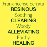 Plant Therapy Organic Frankincense Serrata Essential Oil 100% Pure, USDA Certified Organic, Undiluted, Natural Aromatherapy, Therapeutic Grade 100 mL (3.3 oz)