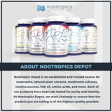 Nootropics Depot 7,8-Dihydroxyflavone Capsules | 25mg | 120 Count | 7,8 DHF | Brain Booster | Supports Cognitive Function and Brain Health