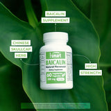 Supersmart - 90% Baicalin 500mg per Day (Scutellaria Baicalensis) - Chinese Skullcap Extract Supplement | Non-GMO & Gluten Free - 60 Vegetarian Capsules
