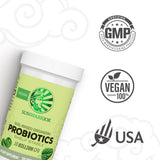 Sunwarrior Probiotics Soil-based Vegan Capsules | 10 billion CFU for Digestion Soy Free Gluten Free Dairy Free | 30 CT