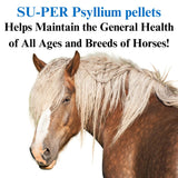 SU-PER Psyllium Pellets Equine Supplement - Maintains Healthy Digestive Tract in Horses - Supports Removal of Sand & Dirt from Intestinal Tract - 5 Pound, 1 Month Supply