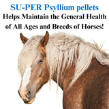 SU-PER Psyllium Pellets Equine Supplement - Maintains Healthy Digestive Tract in Horses - Supports Removal of Sand & Dirt from Intestinal Tract - 40 Pound, 10 Month Supply