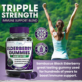 Elderberry Gummies | Elderberry with Zinc and Vitamin C for Adults | 100mg | Kids Immune Support Black Sambucus Elderberry Gummy Adult and Children Vegan Immunity Gummies Non-GMO All Natural 60 Count