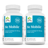 Terry Naturally Be Mobile - 60 Capsules, Pack of 2 - with Type II Collagen, Glucosamine, Chondroitin, Hyaluronic Acid & Boswellia - Non-GMO, Gluten Free - 40 Total Servings