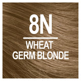Naturtint Permanent Hair Color 8N Wheat Germ Blonde (Pack of 6), Ammonia Free, Vegan, Cruelty Free, up to 100% Gray Coverage, Long Lasting Results