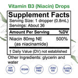 HoneyCombs Vitamin B3-Niacin 80mg Niacin Equivalent Drops – Vitamin B Liquid Niacin Drops – Alcohol-Free, Non-GMO Niacin Supplement 1oz