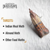 Dr. Killigan's Premium Pantry Moth Traps with Pheromones Prime, Indian Meal Moth Traps for House, How to Get Rid of Moths in House (6 Count, Blue)