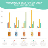 Natural Dog Company Skin & Coat Oil (16 oz.), Supports Skin Health, Fish Oil Supplements for Dogs, Soft Coat, Salmon Oil & Flaxseed Oil, Fatty Acids, Bottle of Dog Fish Oil with Pump, Antioxidant