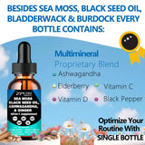 AMENQ hHEALTH Sea Moss Black Seed Oil Ashwagandha Ginger, Multi-Mineral Sea Moss 3000mg Liquid Drops Extract, 4X Stronger Than Pills & Capsules, Vegan Superfood for Immunity, Joint & Thyroid Health