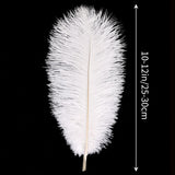 THARAHT White Ostrich Feathers 24pcs Natural Bulk 10-12Inch 25cm-30cm for Crafts Wedding Party Centerpieces Easter Gatsby and Christmas Tree Decoration Feathers