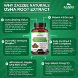 Zazzee OSHA Root 4:1 Extract, 500 mg Strength, 120 Vegan Capsules, 4 Month Supply, Concentrated and Standardized 4X Extract, 100% Vegetarian, Ligusticum porteri, All-Natural and Non-GMO