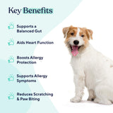 Pawfy Probiotic Soft Chews | Digestive | Gut | Immune Support | Diarrhea & Constipation Relief | Allergy Response & More for Dog