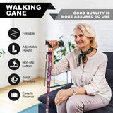 PARLORA Walking Cane for Women and Men, Collapsible, Lightweight, Sleek, Foldable Folding Cane | Walking Sticks for Seniors & Adults with Comfortable T-Handle [Purple Flower]