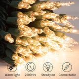 100 Counts Clear Christmas String Lights - 3 Pack 26.5 Feet Warm Mini Lights for Christmas Indoor Outdoor Patio Wreath Garden Wedding Party Thanksgiving Holiday Decorations, Green Wire