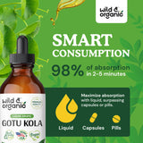 Gotu Kola Drops - Organic Gotu Kola Herb Liquid Extract - Centella Asiatica Tincture - Vegan, Alcohol Free - 4 fl oz
