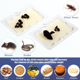 Qualirey 24 Pack Baited Glue Traps Sticky Mouse Trap Rat Traps Indoor Rodent Killer Baited Trays Rat Mouse Exterminator Plastic Sticky Non Toxic Mice Trap for Home Indoor Outdoor Mice Rats Rodent