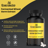 Enerrgecko 1000 mg Spermidine Wheat Germ Extract Capsules- Spermidine Supplements Potent Formula with Zinc for Mitochondrial Rescue, Daily Immune System and Cell Renewal, 60 Capsules