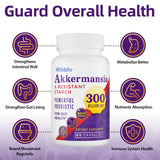 300 Billion AFU Akkermansia Probiotic | GLP-1 Probiotic for Women & Men, Akkermansia Muciniphila for GLP-1, Digestive, Gut, Immune, Enhances Gut Digestive Lining function, Akka Superbiotics - 120 Caps