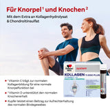 Doppelherz System Collagen 11,000 Plus – With nutrients that contribute to the health of the locomotor system and cell protection – 30 drinking bottles