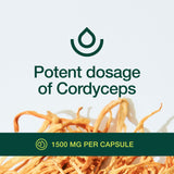 Organic Cordyceps Capsules (Cordyceps Sinensis Mushroom Extract)- 1500mg Per Serving - Energy & Stamina Support - Rich in Alpha Glucan - Vegan, Non GMO, Gluten-Free - 90 Capsules