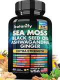 Botanify Sea Moss 7000mg, Black Seed Oil 4000mg, Ashwagandha 2000mg, Turmeric 2000mg, Bladderwrack 2000mg, Burdock 2000mg, Ginger, Vitamin C, Vitamin D3, Elderberry, Manuka, Dandelion, Yellow Dock