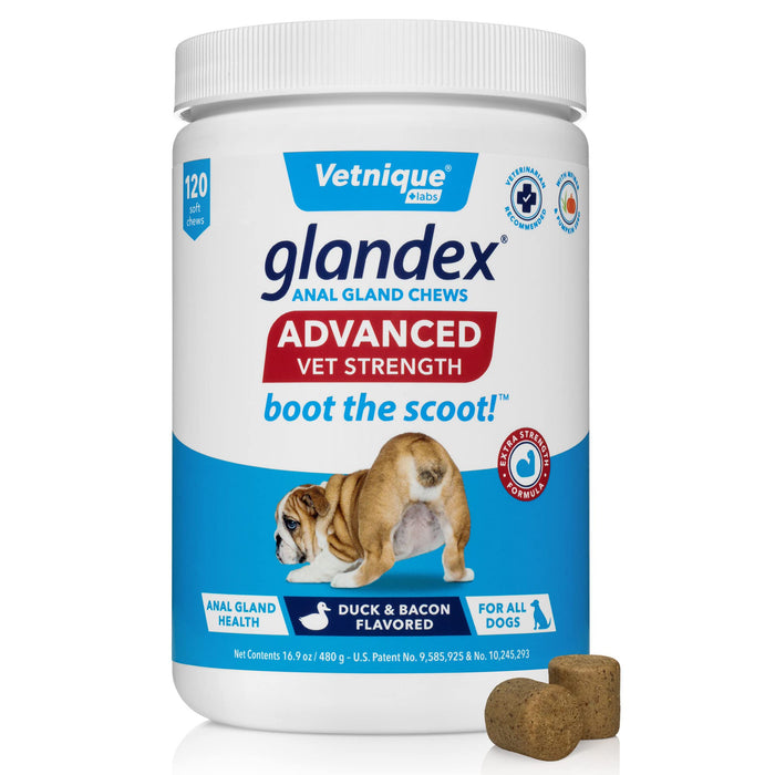 Glandex Anal Gland Soft Chew Treats with Pumpkin for Dogs Digestive Enzymes, Probiotics Fiber Supplement for Dogs Boot The Scoot (Advanced Strength Duck/Bacon Chews (Vegetarian), 120ct)