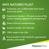 Natures Plus Source of Life Adult Chewable Multivitamin - Apple Cinnamon Flavor - Natural Whole Foods Supplement - Overall Health, Energy - 90 Vegetarian Wafers (45 Servings)