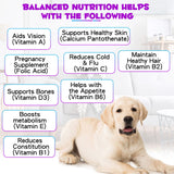 Multivitamin for Dogs, 15 in 1 Multivitamin for Dogs, Dog Vitamins and Supplement