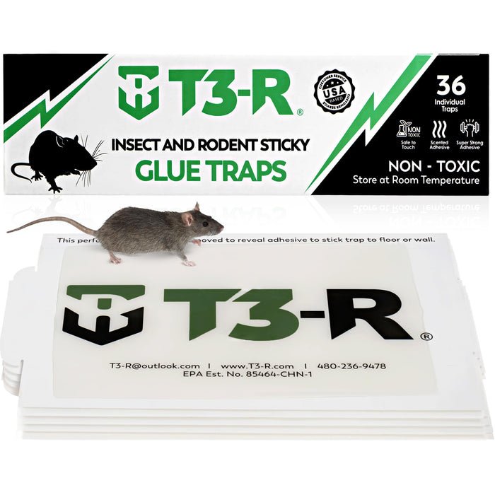 T3-R Sticky Large Rat & Mice Glue Traps | Mouse and Insect Glue Boards | Disposable Non-Toxic Glue Traps for Mice and Rats | Peanut Butter Scent Sticky Traps (36 Pack)