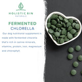 Canine Chlorella Tablets with Human Grade Fermented Chlorella for Dogs | Natural Dog Breath Freshener & Immune Booster Supplement | Dog Greens with Chlorophyll | 100 Vegan Tablets