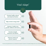 Natura Health Products Vital Adapt Supplement - Daily Nourishing Adaptogenic Tonic for Endocrine Function Support - Featuring Rhodiola, Ashwagandha, Cordyceps, Reishi (60 Capsules)