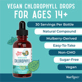 Chlorophyll Liquid Drops for Immune Support | Liquid Chlorophyll Drops | Energy Boost | Skin Care Supplement | Natural Deodorant | Vegan | Non-GMO | Gluten Free | 2 Fl Oz | 2 Pack