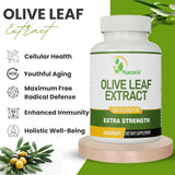 Naravis Olive Leaf Extract - 4-Month Supply - 50% Oleuropein Highest Concentration